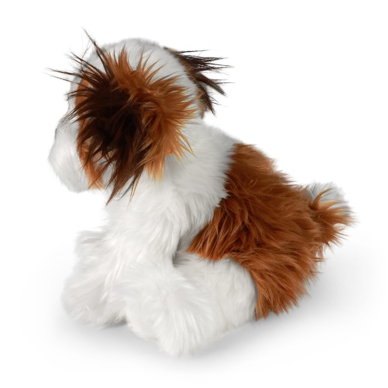 shih tzu2.jpg