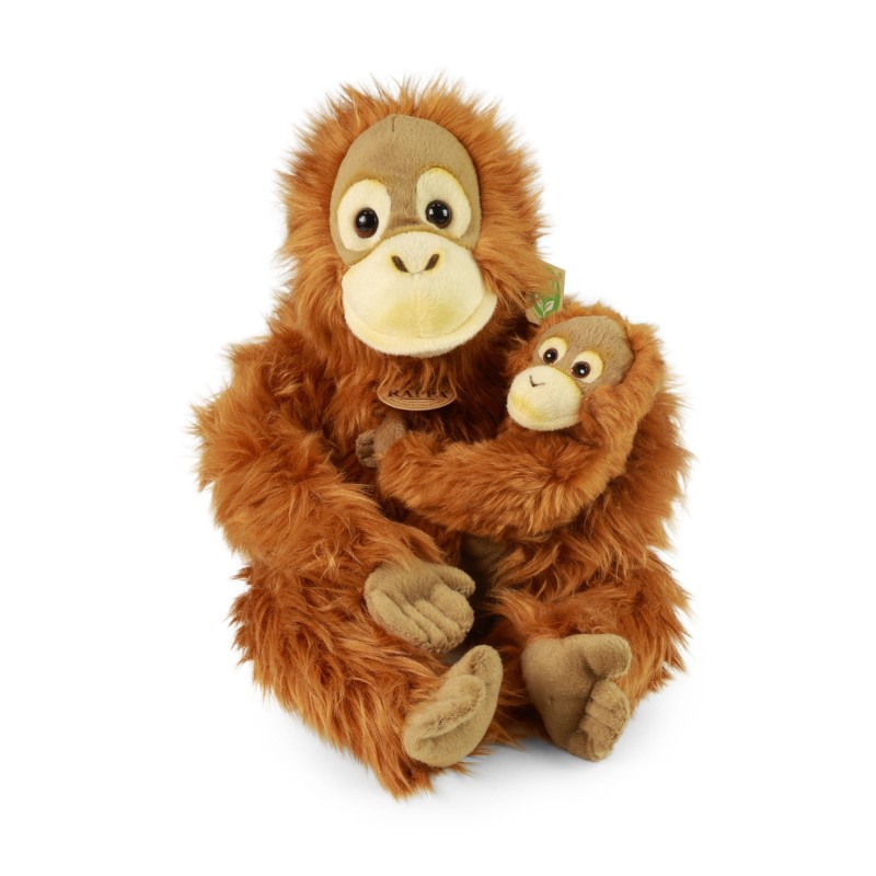 orangutan.jpg