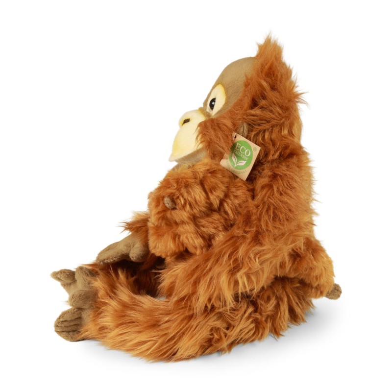 orangutan2.jpg