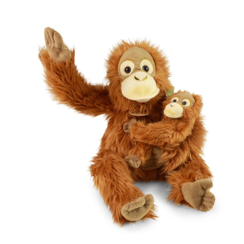 orangutan3.jpg