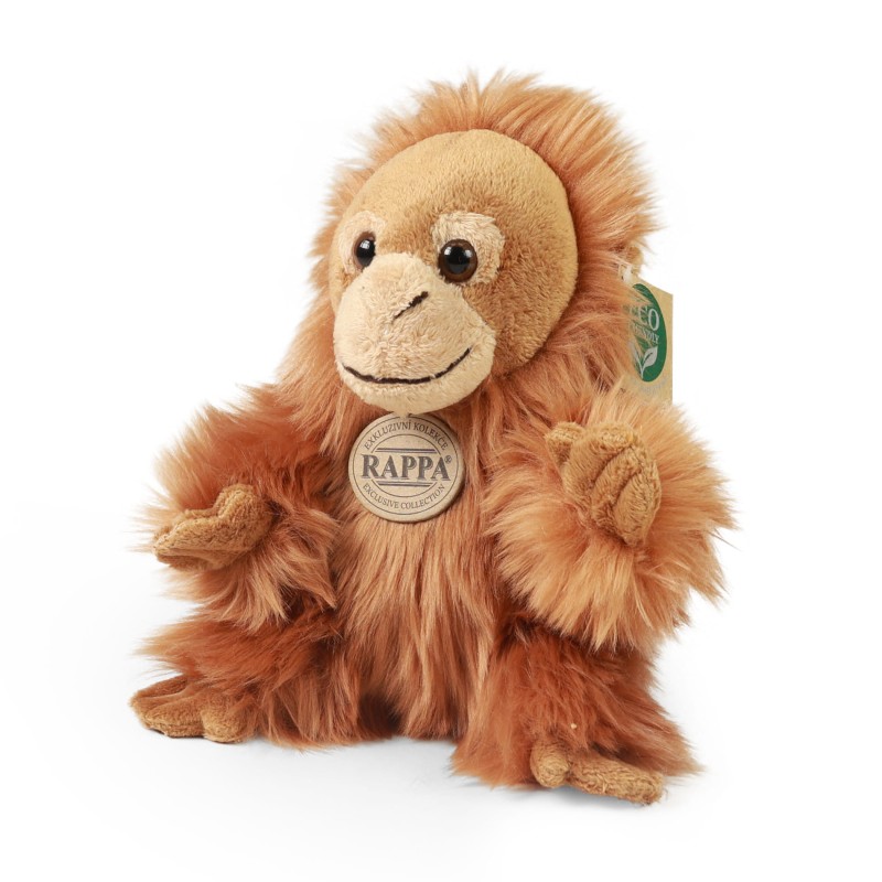orangutan18.jpg
