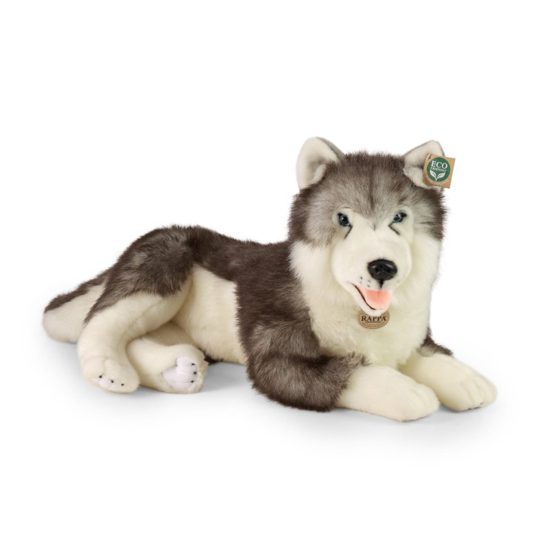 huskya1.jpg