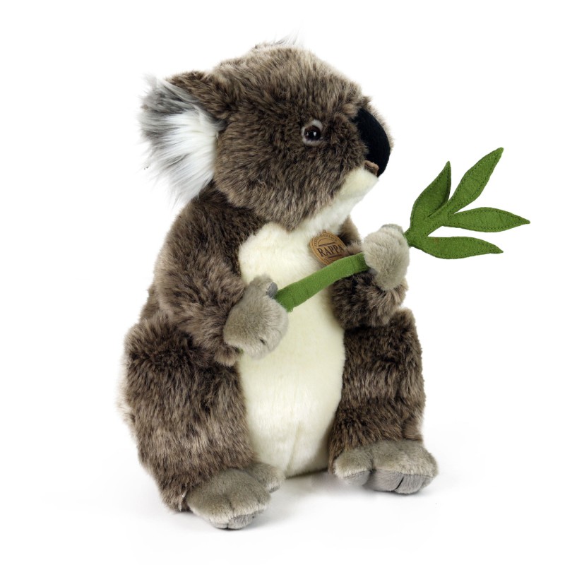 koalab2.jpg