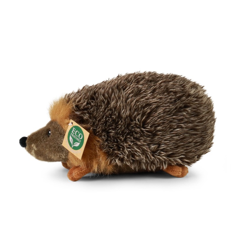 jeż3.jpg