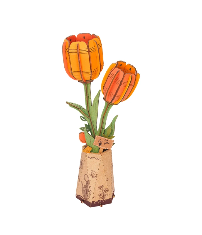 TW081-main.webp