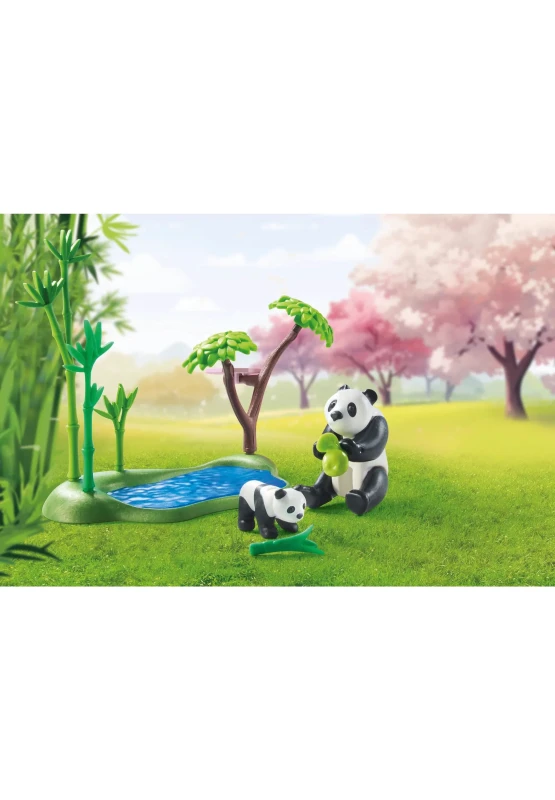 2560 (4).webp