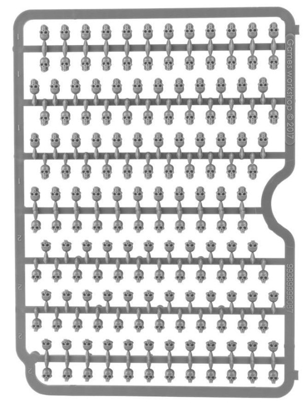 99129999012_CitadelSkulls06.jpg