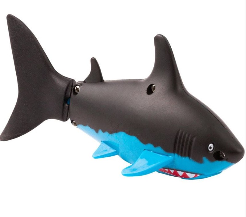 shark1.JPG