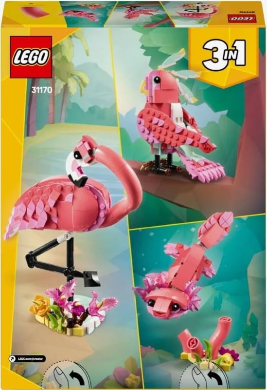 flam1.JPG