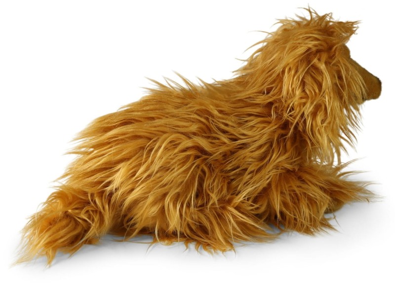 247000_4.jpg