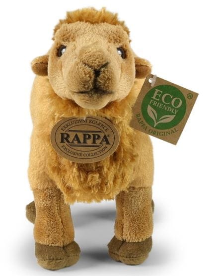 wiel1.JPG
