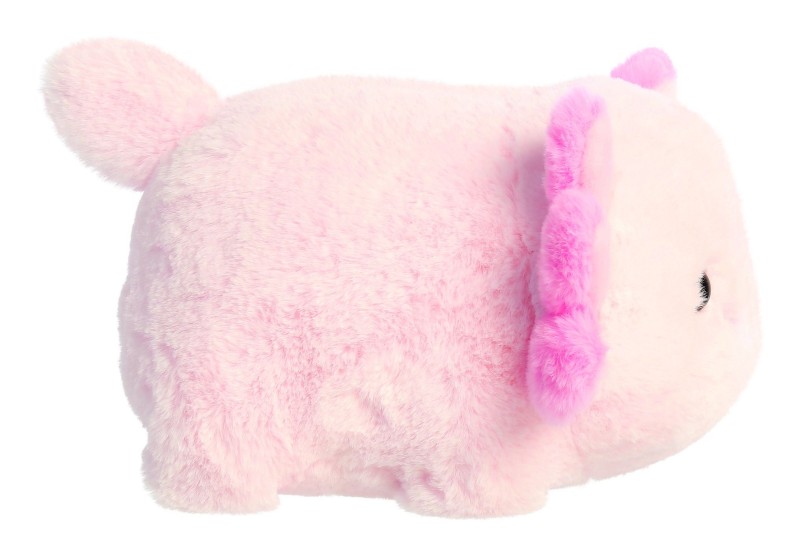 aksolotl3.jpg