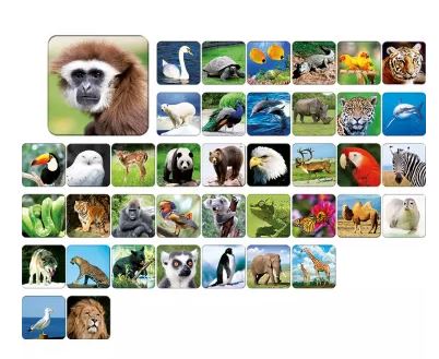 zoo1.JPG