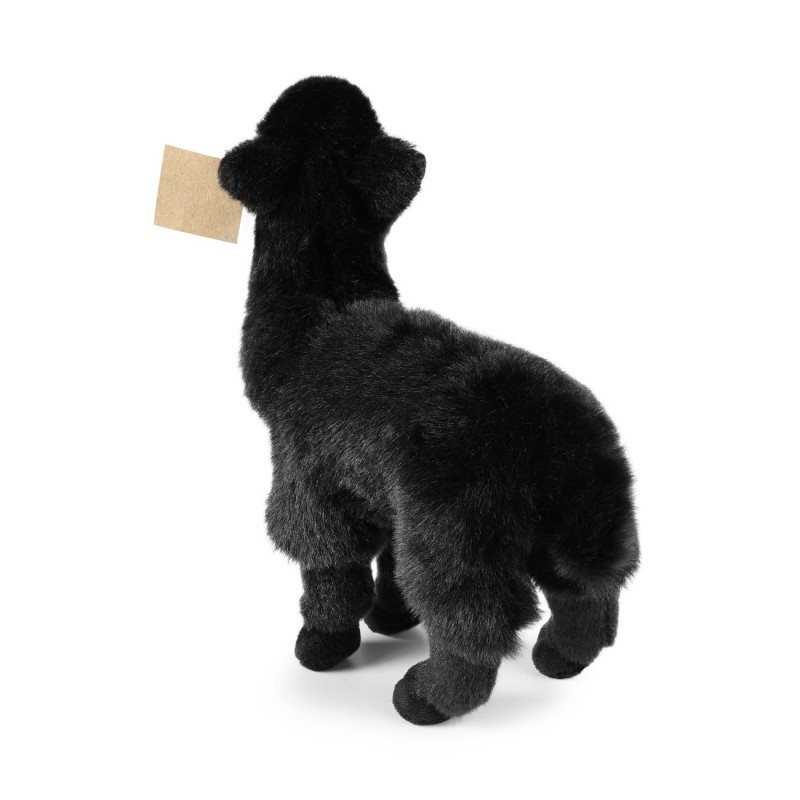 244214-lama2.jpg