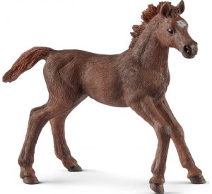 Schleich Konie- Źrebię pełnej krwi angielskiej -13857