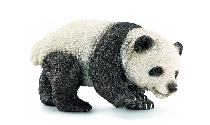 panda.png