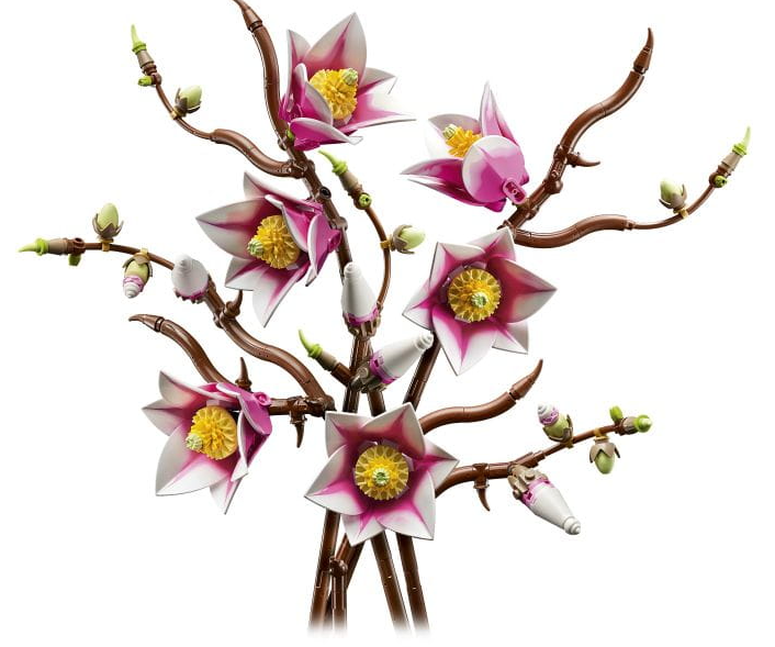 magnolia2.PNG