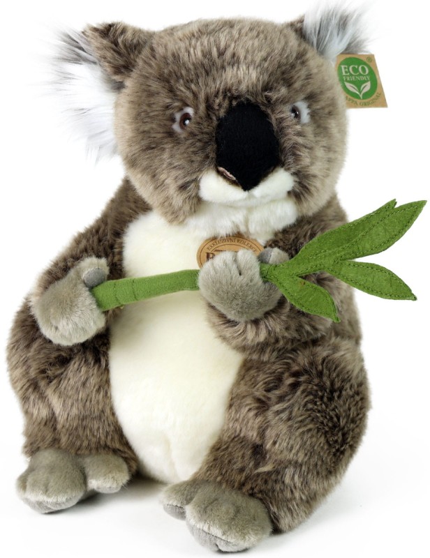 koalab.jpg