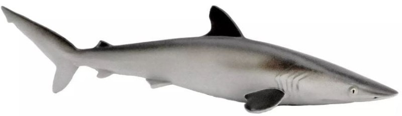 r1.JPG