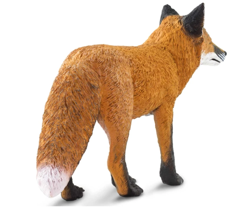 lis czerwony-2.png