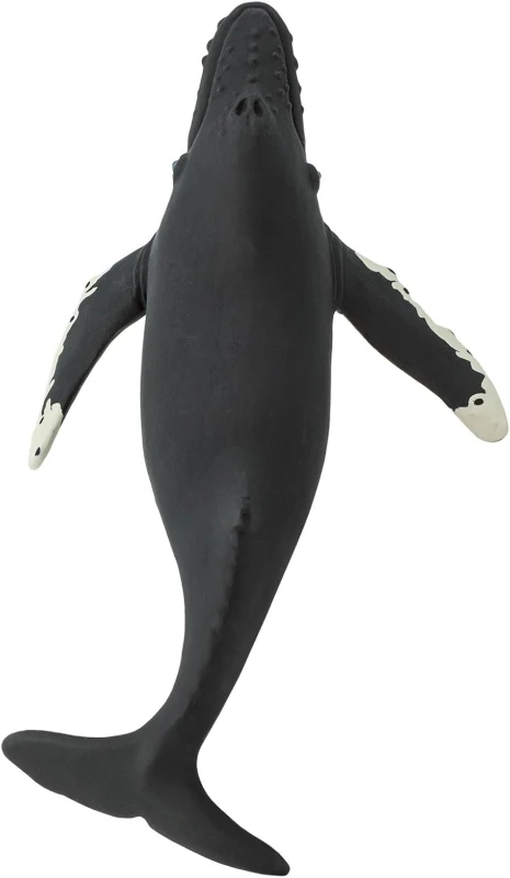 202029-humbak2.jpg