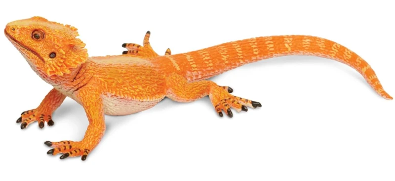 agama brodata-2.png