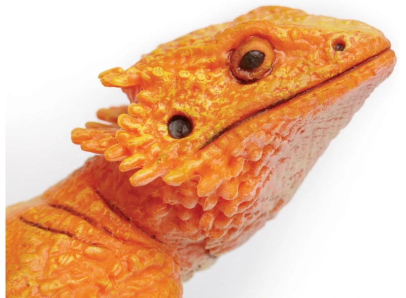 agama brodata-3.png