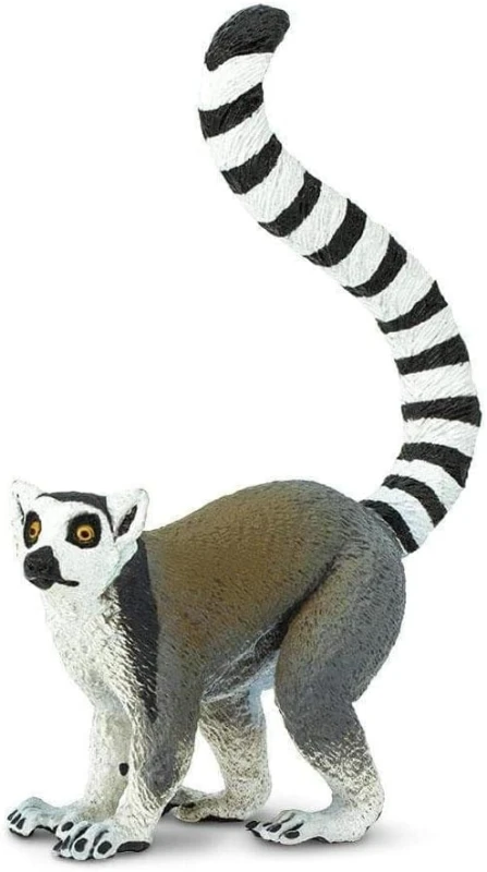 292229-katta.jpg