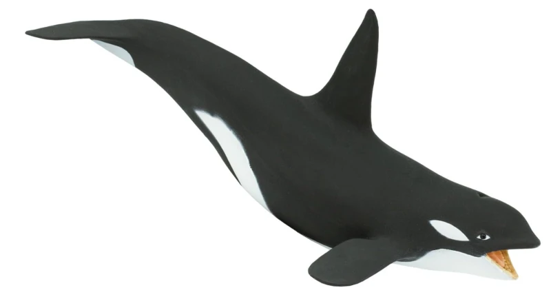 orka.png