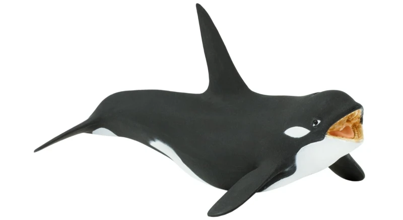 orka-1.png
