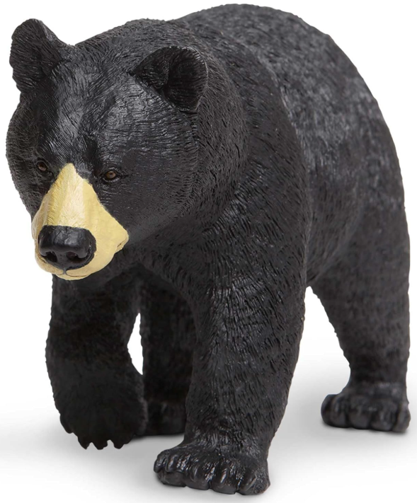 niedźwiedź czarny.png