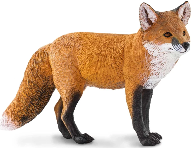 lis czerwony.png