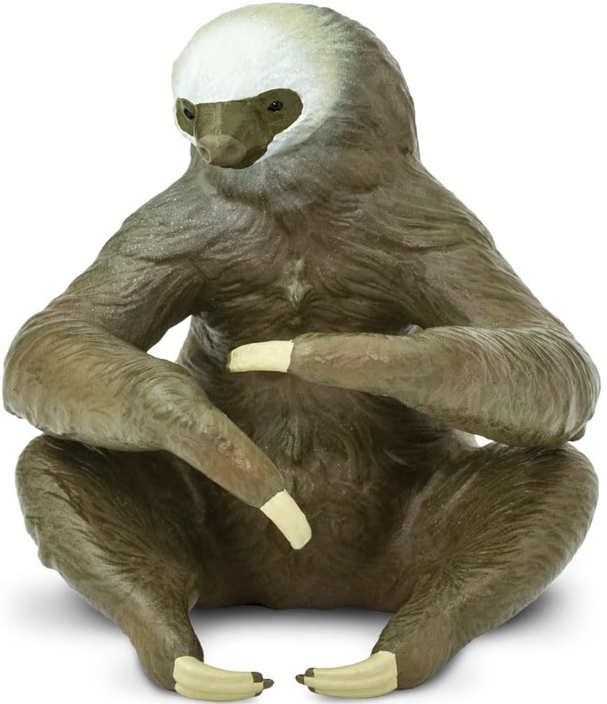 leniwiec.png
