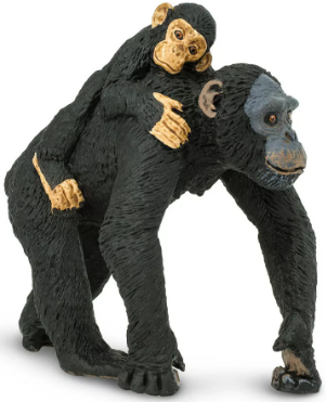 szympans.png