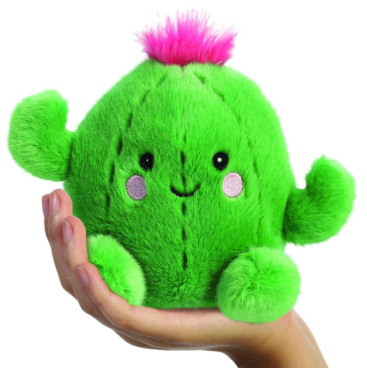 kaktus-1.png