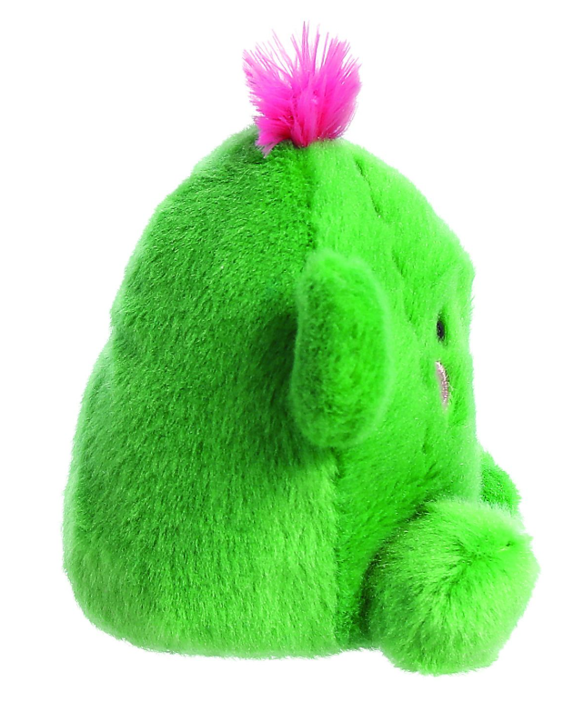kaktus-2.png