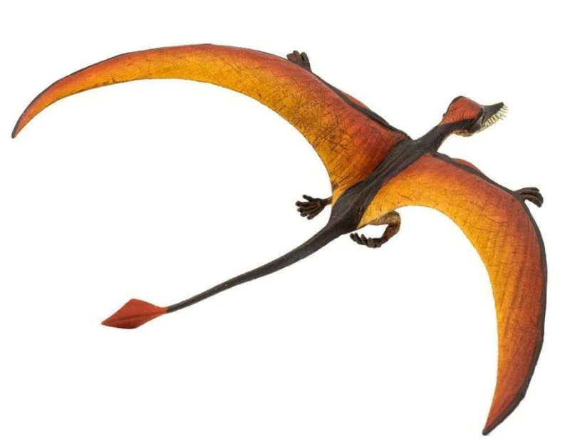 ram1.JPG