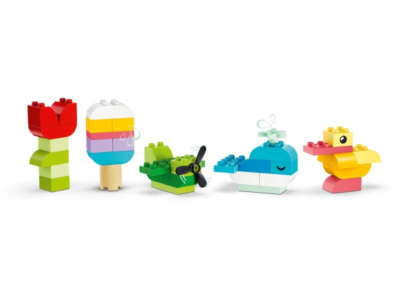 10479-duplo3.jpg