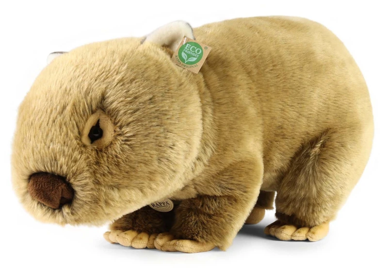 251090-wombat.jpg