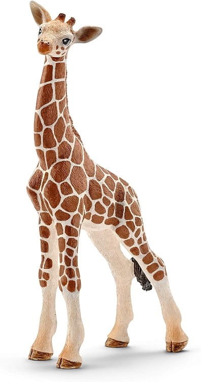 Schleich - Wild Life - Zestaw 4 figurek 72162