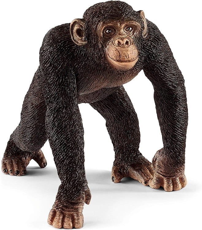 Schleich - Wild Life - Zestaw 4 figurek 72162