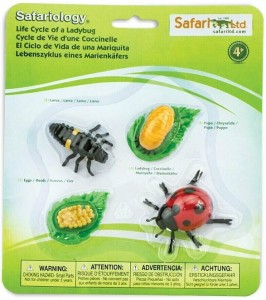 Safari Ltd - Zestaw figurek - Cykl życia biedronki 662716
