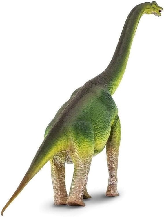 Safari Ltd - Figurka dinozaur Brachiozaur 300229