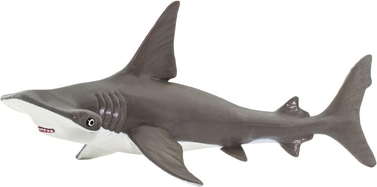 Safari Ltd. - Figurka Rekin młot  267929