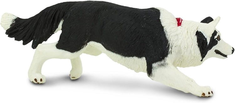 Safari Ltd. -  Figurka Border Collie  254529