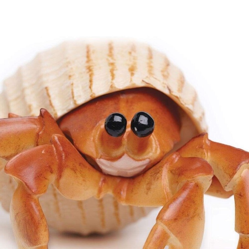 Safari Ltd - Figurka Krab Pustelnik 267529