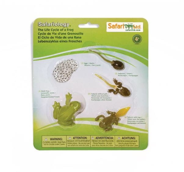 Safari Ltd - Zestaw figurek - Cykl życia żaby 69104