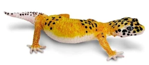 Safari Ltd - Figurka Gekon lamparci 102504
