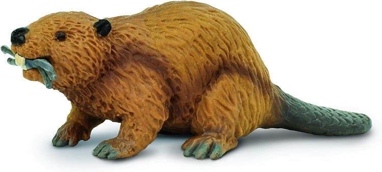 Safari Ltd. - Figurka Bóbr 283629