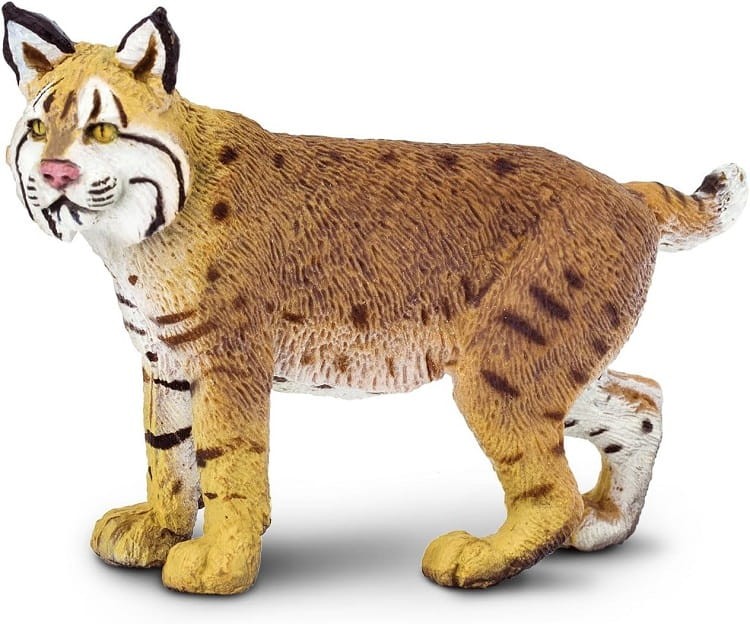 Safari Ltd. - Figurka Ryś rudy 297029